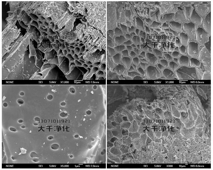 活性炭電鏡照片.jpg